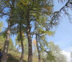 STOGI, OGRADI 2087m, 01.10.2017